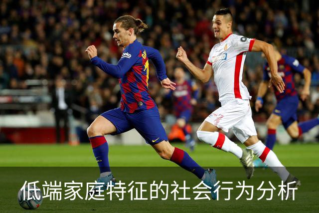 低端家庭特征的社会行为分析